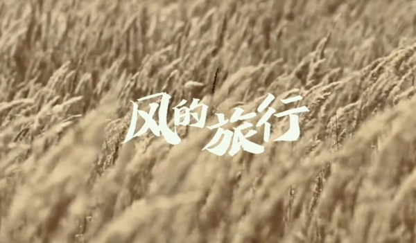 创作感悟｜薛永嘉、张濛：《风的旅行》